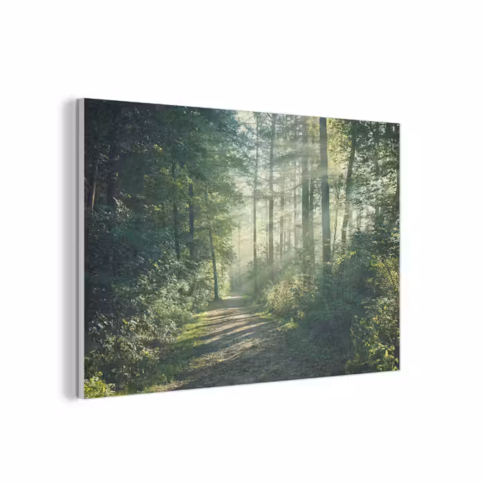 Akoestisch schilderij - Bos - Pad - Zon - Bomen - Groen - Natuur