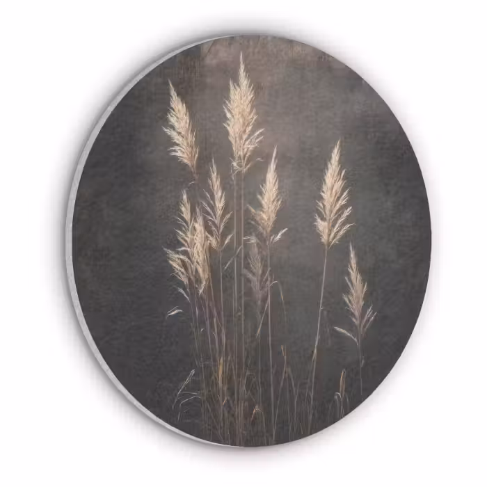 Akoestisch schilderij rond - Siergras - Pluimen - Verlichting - Zwart