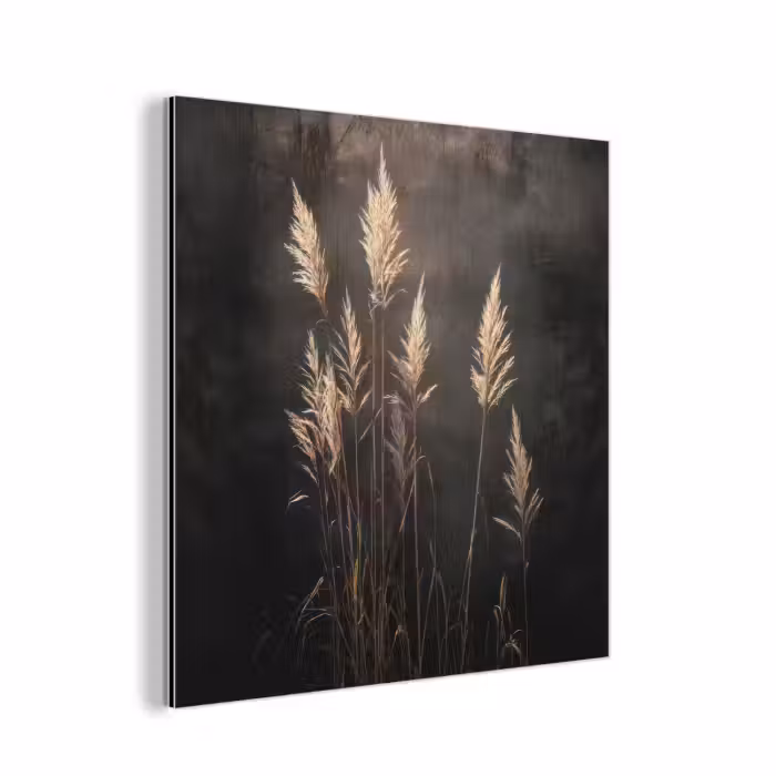Aluminium schilderij - Siergras - Pluimen - Verlichting - Zwart