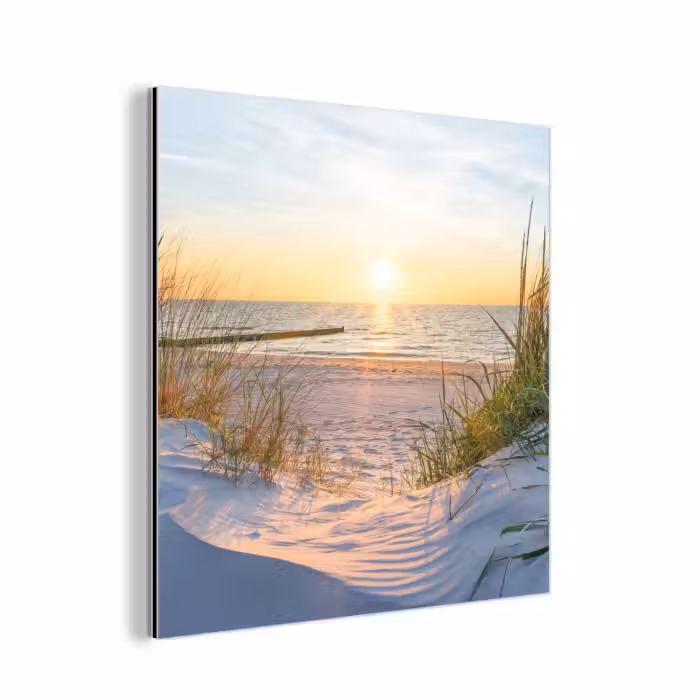 Aluminium schilderij - Strand - Zon - Duin - Gras - Zand - Horizon