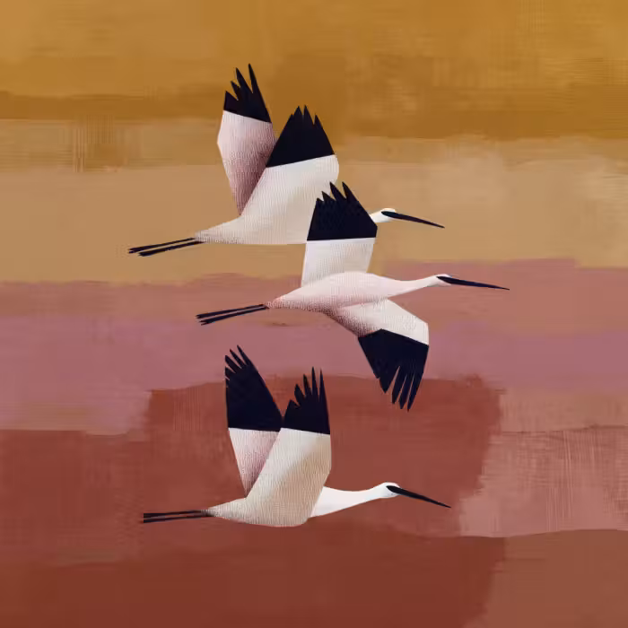 Behang - Vogels - Snavel - Abstract
