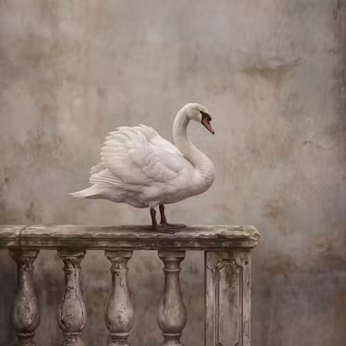 Behang - Zwaan - Elegant - Dieren - Wit