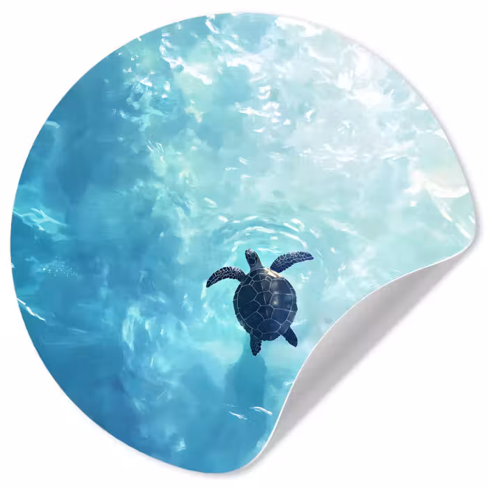 Behangcirkel - Schildpad - Zee - Blauw - Schittering