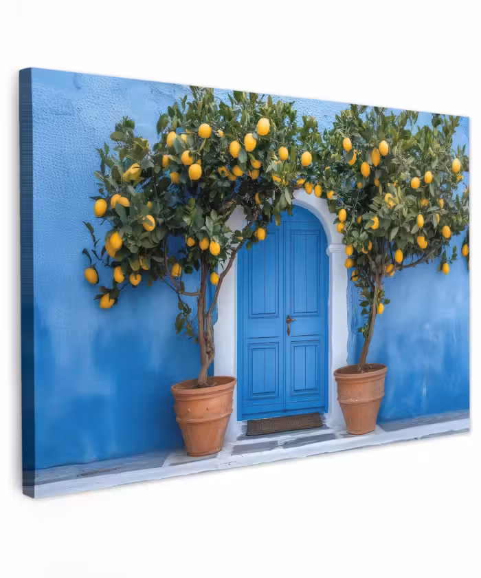 Buiten canvas - Citroenbomen - Geel - Deur - Potten