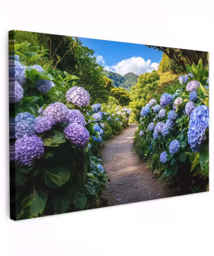 Buiten canvas - Hortsensia - Pad - Bloemen