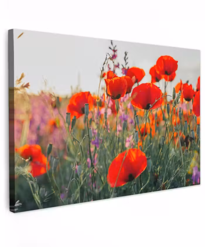 Buiten canvas - Klaproos - Bloemen - Rood - Paars - Weide