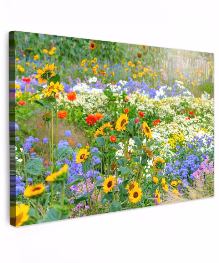 Buiten canvas - Zomerbloemen in volle bloei