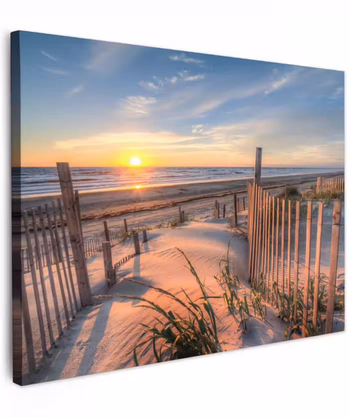Canvas schilderij - Duin - Zonsondergang - Strand - Planten - Zee