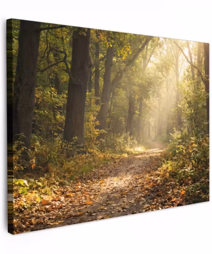 Canvas schilderij - Zonlicht - Bospad - Bomen
