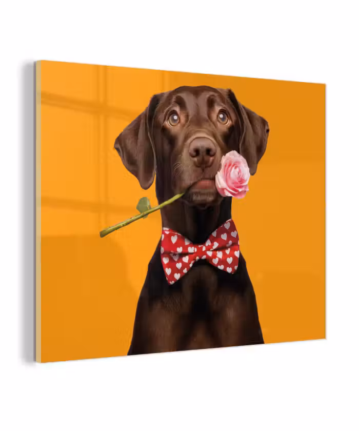 Glas schilderij - Hond - Oranje - Roos - Valentijn