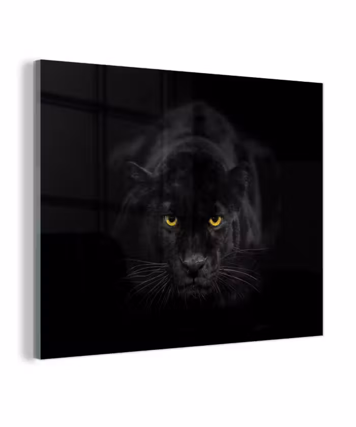Glas schilderij - Panter - Dieren - Zwart - Ogen