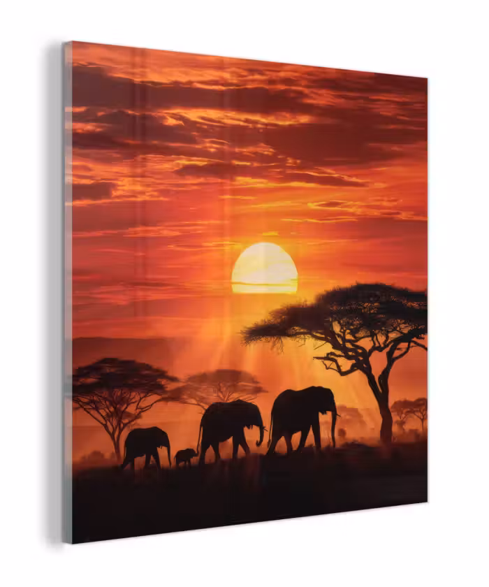 Glas schilderij - Savanne - Olifanten - Zonsondergang