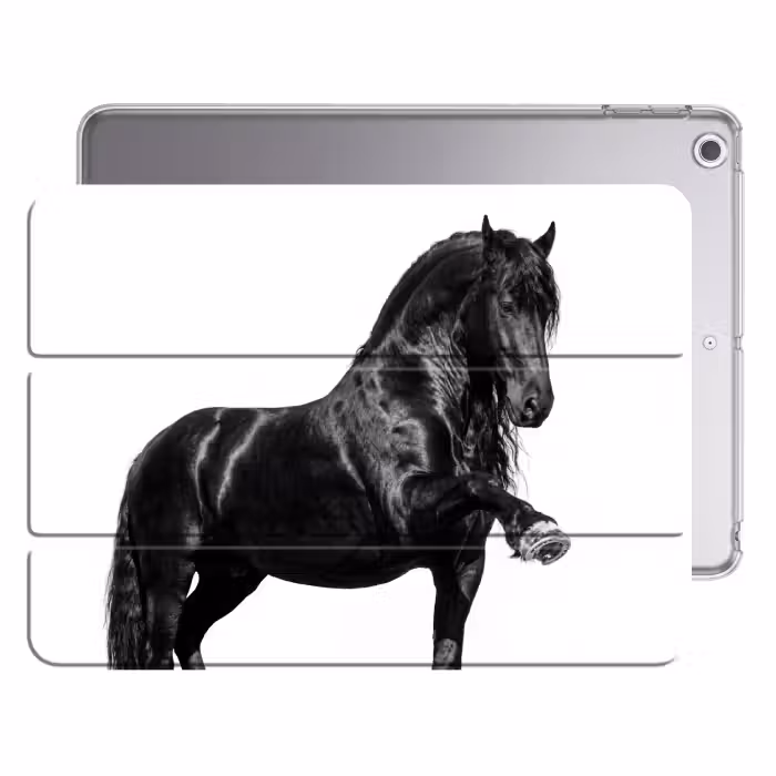 iPad hoes - Fries - Hengst - Modern