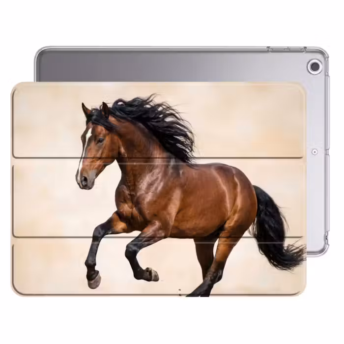 iPad hoes - Paard - Galop - Energie