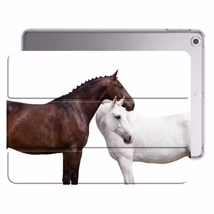 iPad hoes - Paard - Modern - Balans