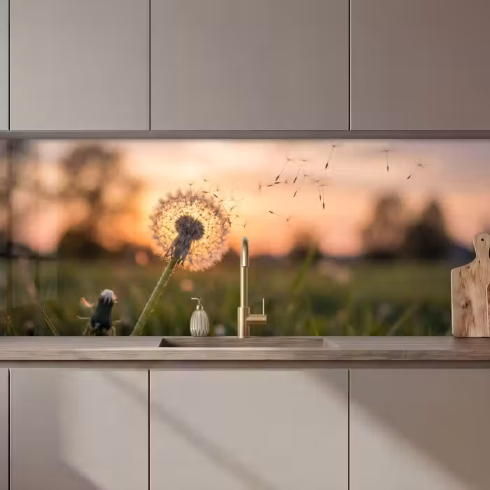 Keuken achterwand - Paardenbloem - Zonsondergang - Veld