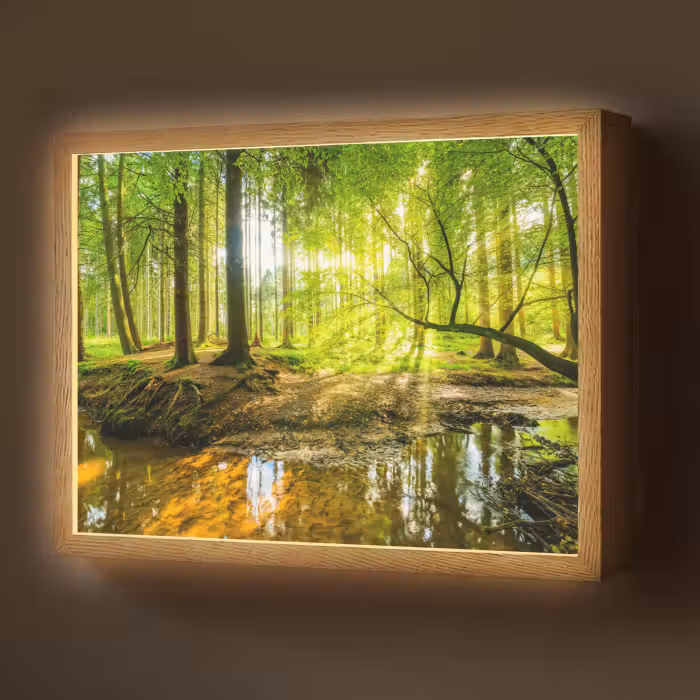 Lightbox - Wandlamp - Bos - Landschap - Water - Bomen - Zon - Groen - Natuur