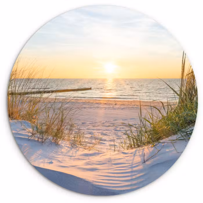 Muurcirkel - Strand - Zon - Duin - Gras - Zand - Horizon