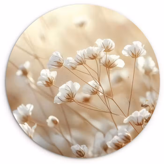 Muurcirkel - Wilde - Bloemen - Wit