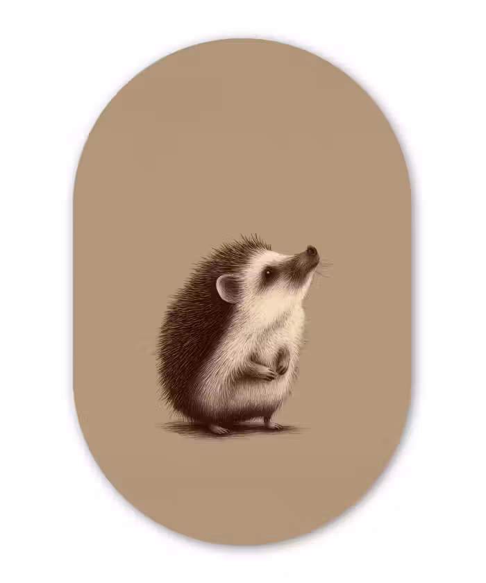 Muurovaal aluminium - Egel - Snuitje - Bruin - Stekels
