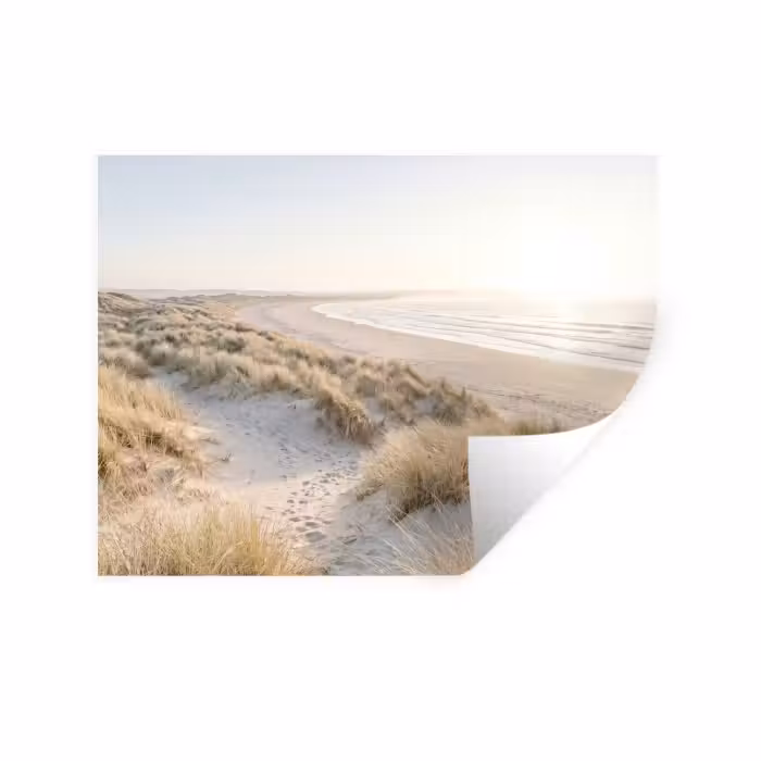 Muursticker - Duinen - Strand - Beige