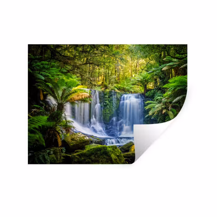 Muursticker - Jungle - Waterval - Australië - Planten - Natuur
