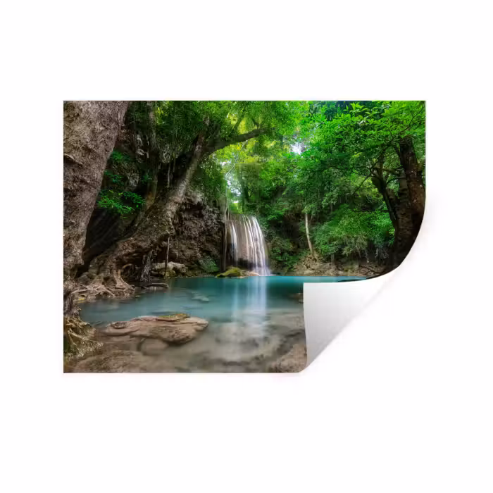 Muursticker - Jungle - Waterval - Planten - Water - Natuur