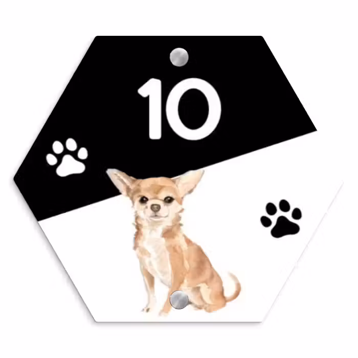 Naambordje voordeur - Hexagon - Zwart wit - Huisdier - Chihuahua