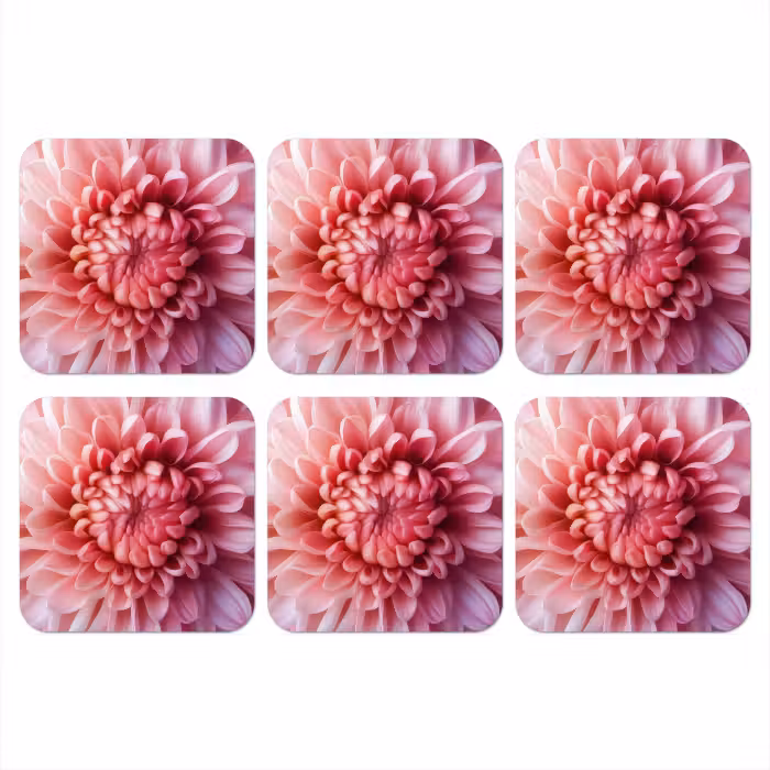 Onderzetter - Dahlia - Bloem - Close up - Roze