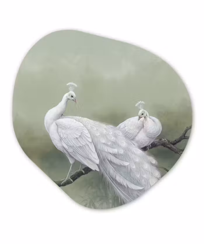 Organisch schilderij - Forex - Pauwen - Wit - Natuur - Groen