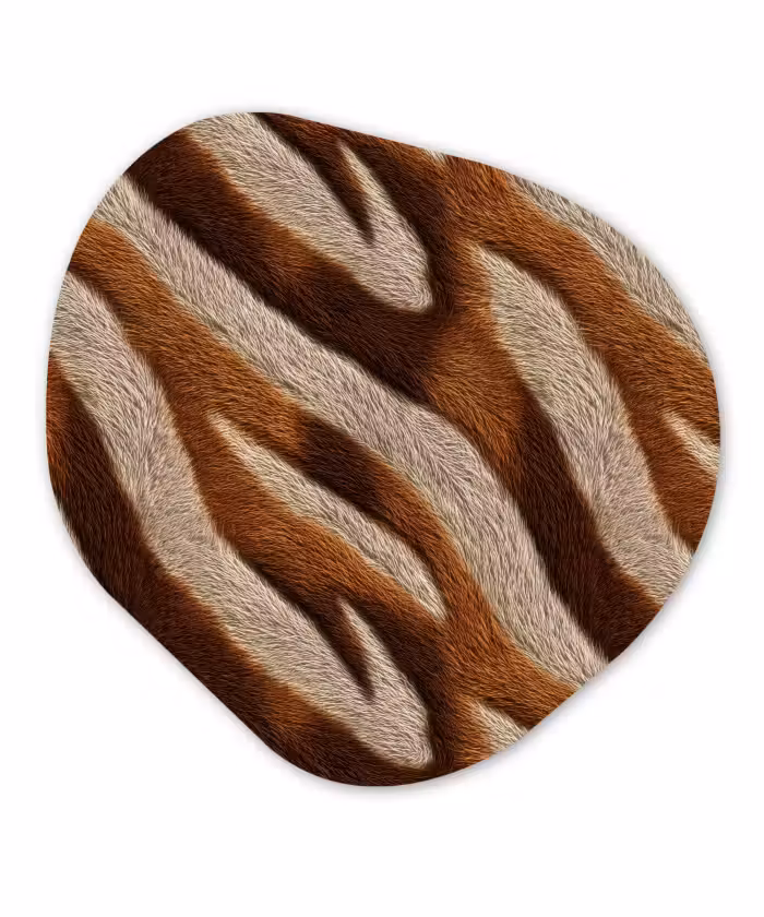 Organisch schilderij - Forex - Zebra - Bruin - Patroon