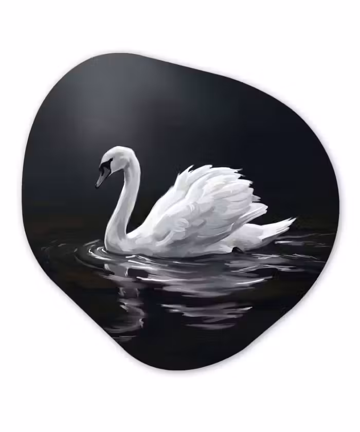 Organisch schilderij - Forex - Zwaan - Water - Natuur - Realistisch - Wit