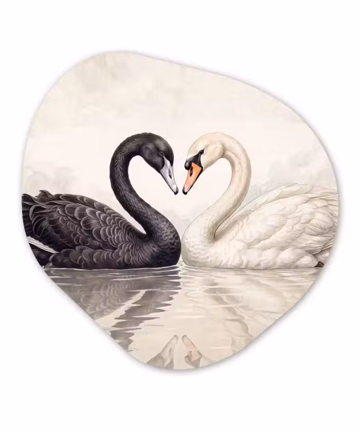 Organisch schilderij - Forex - Zwanen - Hartvorm - Dieren