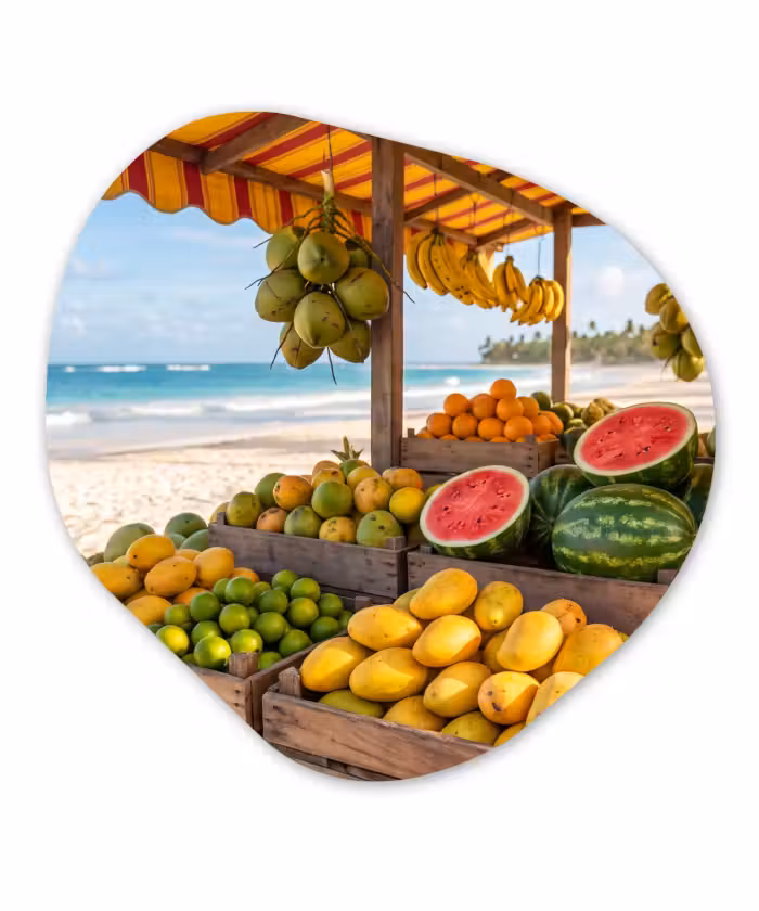 Organisch schilderij - Glas - Fruit - Strand - Tropisch