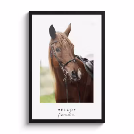 Poster met lijst paarden