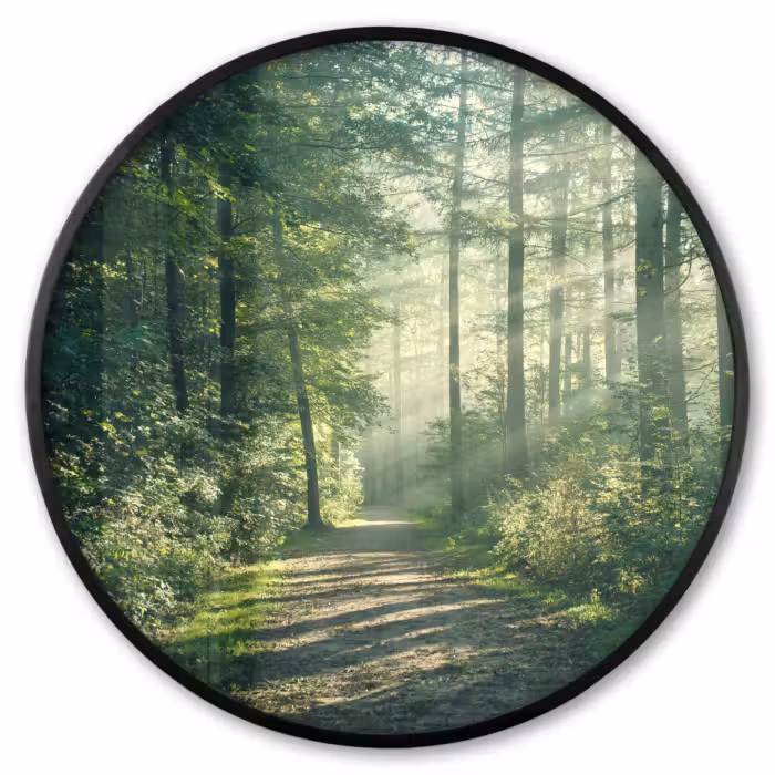 Ronde fotolijst - Bos - Pad - Zon - Bomen - Groen - Natuur