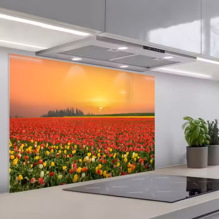 Spatscherm keuken - Bloemen - Landschap - Tulpen - Zonsondergang