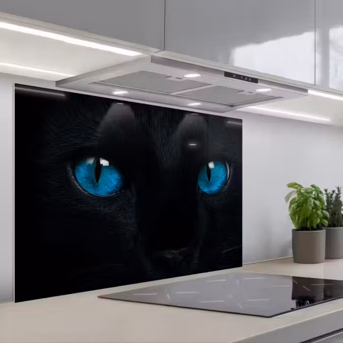Spatscherm keuken - Kat - Blauw - Dier - Zwart