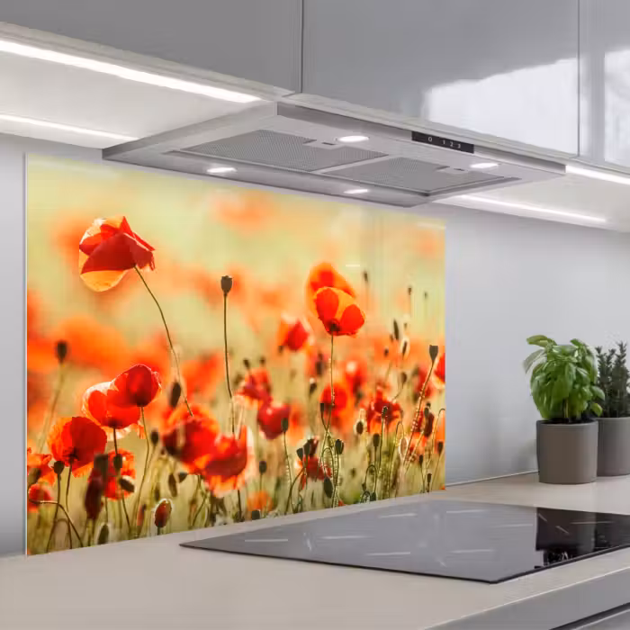 Spatscherm keuken - Klaprozen - Bloemen - Rood - Bloemenveld