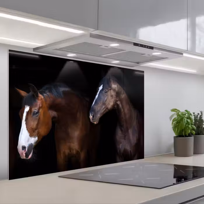Spatscherm keuken - Paard - Dieren - Zwart
