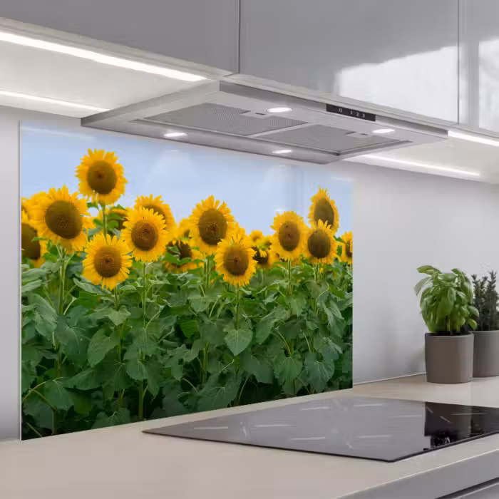 Spatscherm keuken - Zonnebloemen - Geel - Natuur