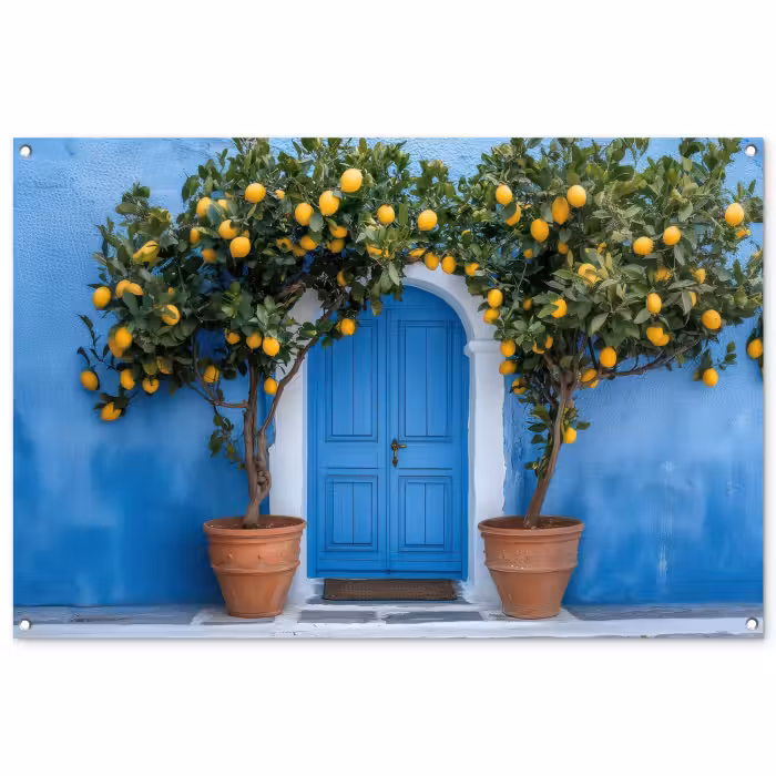 Tuinposter - Citroenbomen - Geel - Deur - Potten