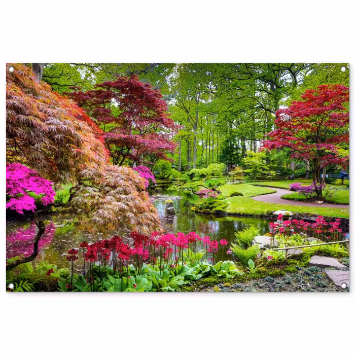 Tuinposter - Kleurrijke Japanse tuin