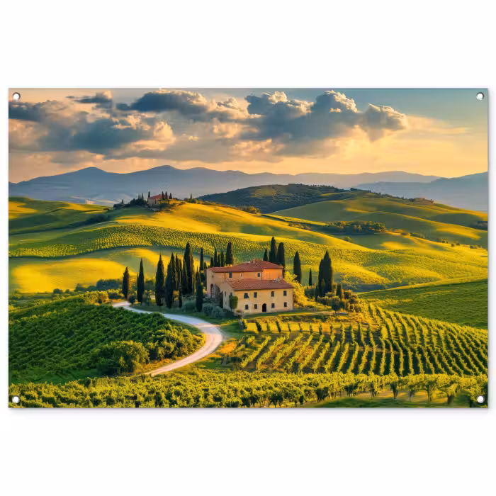 Tuinposter - Toscane - Landschap - Wijngaarden