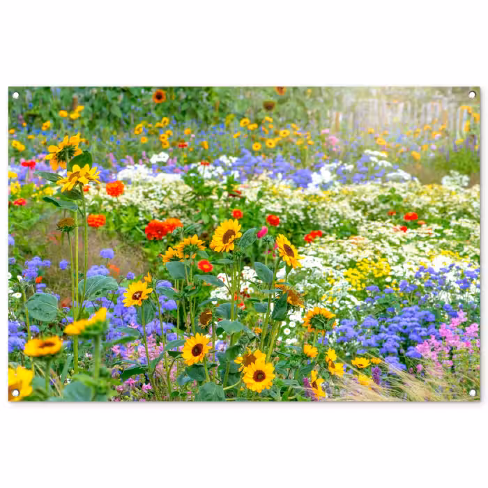 Tuinposter - Zomerbloemen in volle bloei