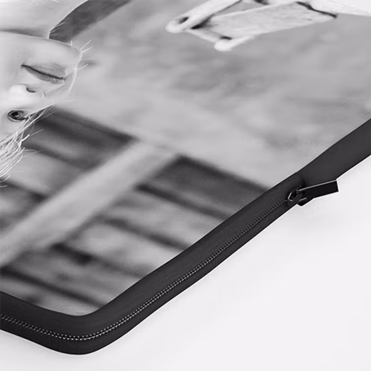 Laptophoes — 4