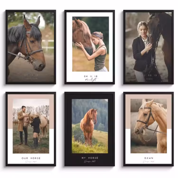 Poster met lijst paarden — 4