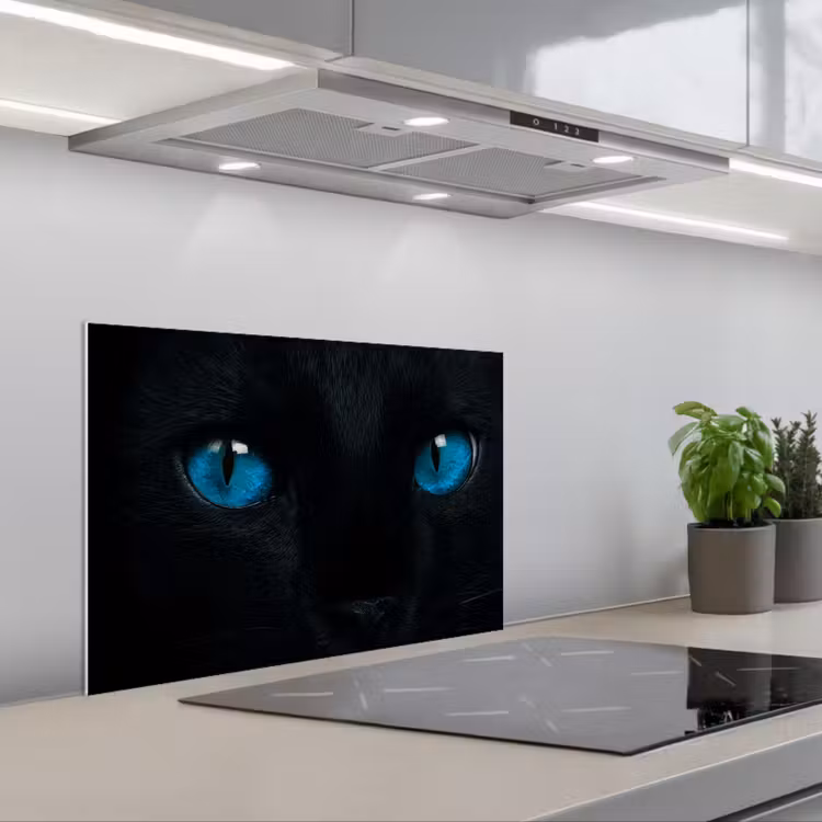 Spatscherm keuken - Kat - Blauw - Dier - Zwart — 4