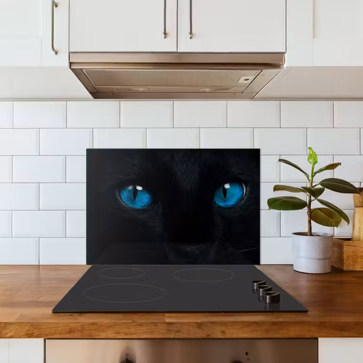 Spatscherm keuken - Kat - Blauw - Dier - Zwart — 5