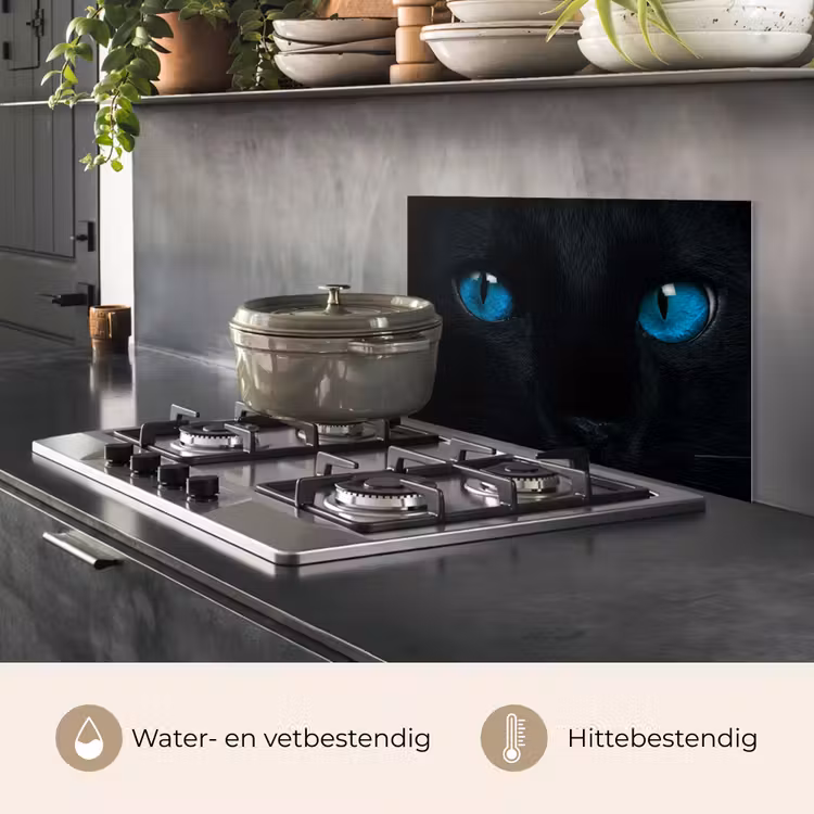 Spatscherm keuken - Kat - Blauw - Dier - Zwart — 6